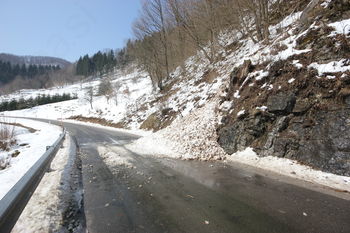 Cestne novice Cestne novice