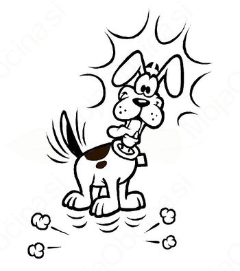 Cepljenje psov proti steklini