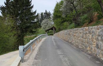 Žive meje marsikje ogrožajo varnost pešcev in kolesarjev