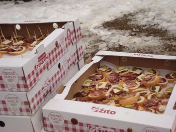 13. VINOGRADNIŠKI POHOD »LISEC«