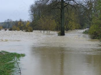 Odprava škode v gospodarstvu zaradi poplav Odprava škode v gospodarstvu zaradi poplav