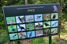 PO POTI VODOMCA med naj slovenskimi naravoslovnimi učnimi potmi