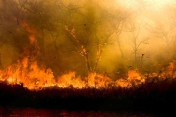 Razglašena velika požarna ogroženost naravnega okolja