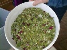 LETNI OBČNI ZBOR DRUŠTVA UNIVERZA ZA TRETJE ŽIVLJENJSKO OBDOBJE VRANSKO