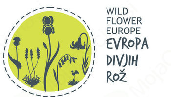 Aktivnosti projekta Evropa divjega cvetja