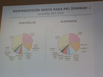 Ustanovitev medobčinskega društva Posočje v boju proti raku dojke