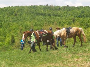 V endurancu David Hočevar   najboljši