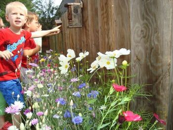 CVETLIČNI RAJ - HOTEL ZA ŽUŽELKE