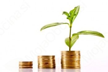 Javni sklad malega gospodarstva Goriške objavlja podaljšanje roka za prijavo na Javni razpis neposrednih posojil v letu 2013 za pospeševanje razvoja kmetijstva