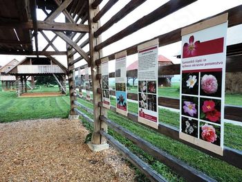Gostujoča razstava Arboretuma Volčji Potok: SAMONIKLI ŠIPKI IN NJIHOVO OKRASNO POTOMSTVO