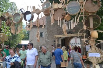 V NEDELJO PO SUHO ROBO V RIBNICO