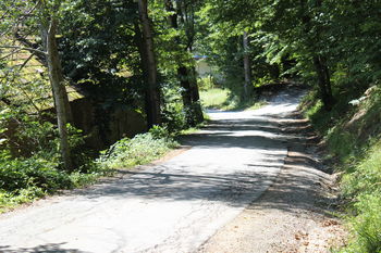 Poleti bodo prenavljali Rimsko cesto