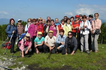 Barjani na Poti po robu