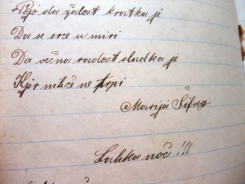 Na novo odkrita polhograjska pesnica Marija Šifrer – Bizjanova Micka Na novo odkrita polhograjska pesnica Marija Šifrer – Bizjanova Micka