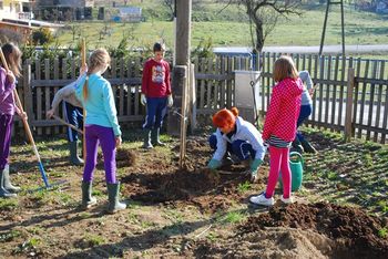 Vzorčni biodinamični vrt pri Podružnični OŠ Sele-Vrhe je začel nastajati