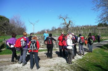 Pohod po Šavrinskih gričih in dolini Dragonje