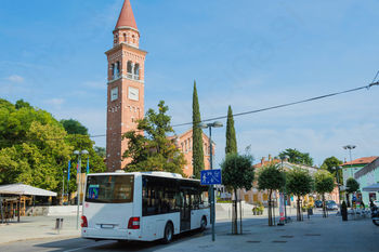 Anketa na temo potovalnih vzorcev in težav