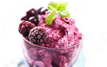 Otvoritev sladolednega vrta