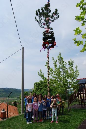 Tradicionalno postavljanje mlaja Tradicionalno postavljanje mlaja