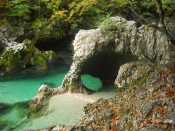 Ideja za družinski izlet pri Bohinju