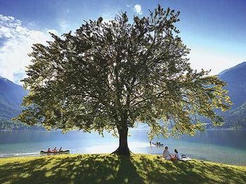 Ob slovenskem kulturnem prazniku: predstavitev knjige "Slovenija v presežnikih" Toma Jeseničnika