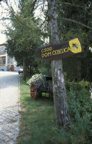 Vabilo na Raziskovalni tabor - Varstvo okolja Trebnje 2016