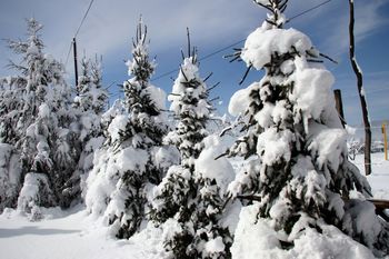 Spoštovane upokojenke in upokojenci!