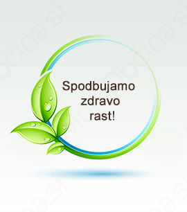 Regionalni sklad RS: Spodbude za mala in srednje velika podjetja v lesarstvu Regionalni sklad RS: Spodbude za mala in srednje velika podjetja v lesarstvu