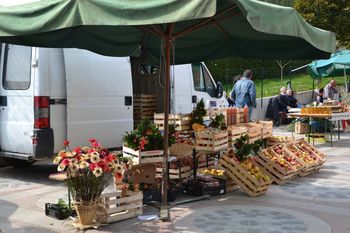 Spomladansko pisani Občinski trg