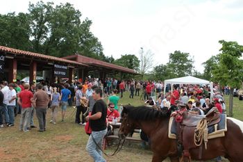 Srečanje s kraškimi konjeniki