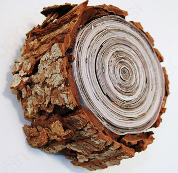 Zbiralna akcija odpadnega papirja