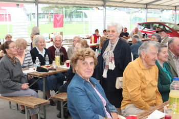 Mednarodni dan starejših 2014