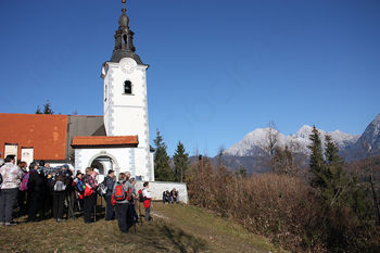 Zimzeleni na Štefanji Gori