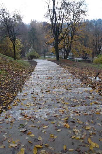 Sveti Martin je otvoril stopnišče