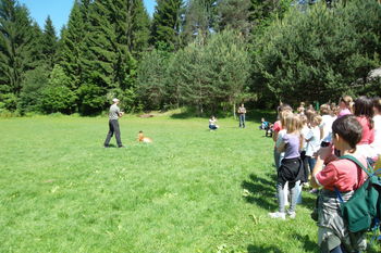 Tabor mladih ''rdečekrižarjev''