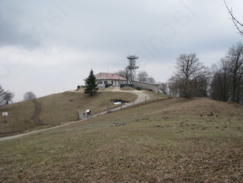 Sončki na Trdinovem vrhu