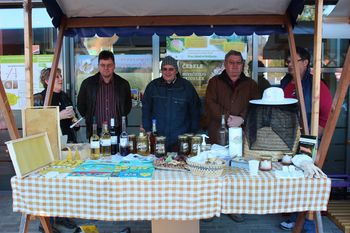 Božična tržnica v Vojniku