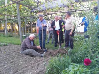 Tudi v Cirkovcah raste potomka stare trte