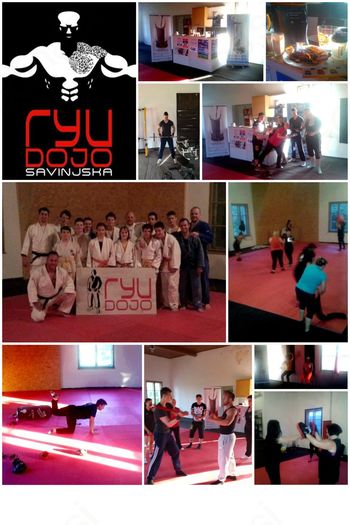 TVU 2015 RYU DOJO SAVINJSKA