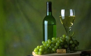V Šempetru pri Gorici bo potekalo 8. evropsko tekmovanje v znanju vinogradništva in vinarstva