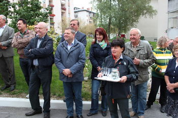 Potomki 400 let stare trte z Lenta v Vojniku in Novi Cerkvi sta potrgani Potomki 400 let stare trte z Lenta v Vojniku in Novi Cerkvi sta potrgani