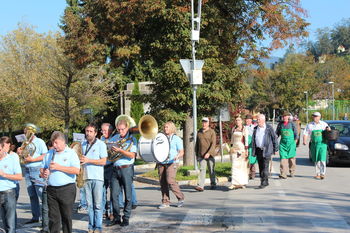 Trta (potomka 400 let stare trte z Lenta) je obrana Trta (potomka 400 let stare trte z Lenta) je obrana