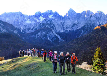 Sončki na Vošci nad Kranjsko goro