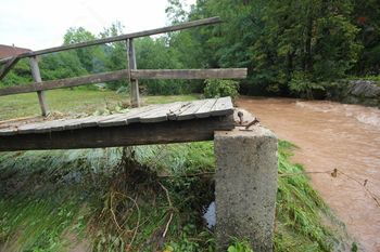 Narava splaknila gozdove namesto človeka