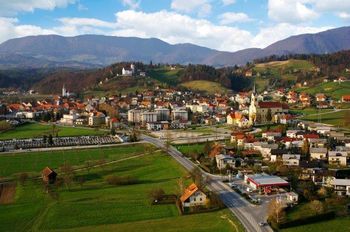 Subvencije za lesarje, tuje investitorje ter raziskovalce