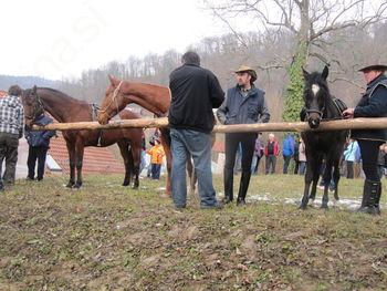 Svetega Štefana blagoslov