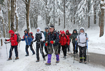 Sončki v Rovtarskem hribovju