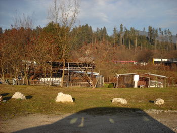 Urejanje področja vrtičkarstva v Mestni občini Slovenj Gradec