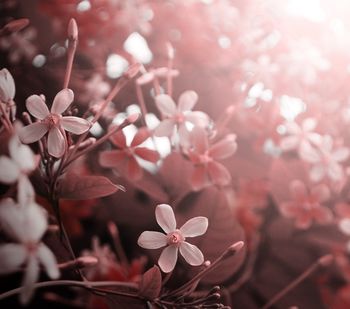 Zahvala: Nesreča lahko prinese tudi srečo