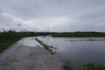 Zaprta cesta Podkraj - Lipe 